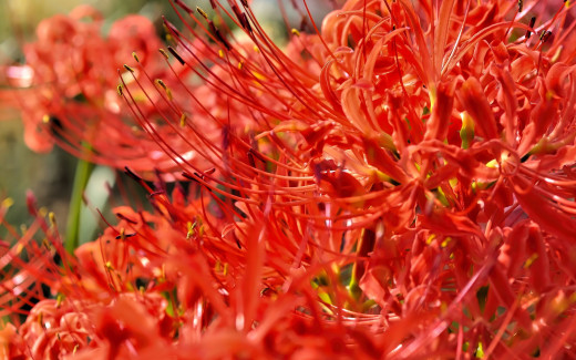 1749675 (a): :2560x1600